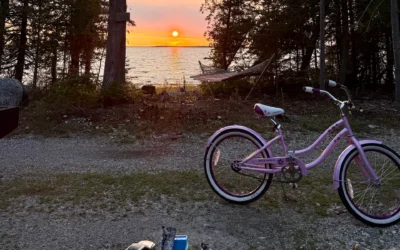 Life Lately, Up North – Independent Together