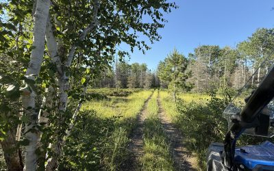 DIORA August Spotlight: Rediscover Meadow Trail