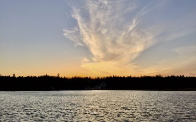 Life Lately, Up North – A Post-Peak Season Update