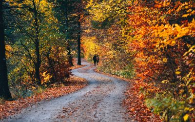 Looking Ahead to November on Drummond Island: Apparently, We Have Plans